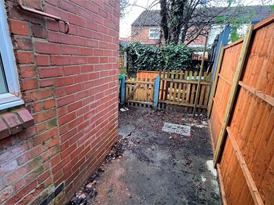 Picture 15